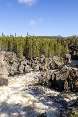 Firehole River YNP Spring 2025